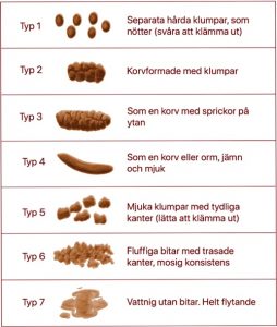 Svart Bajs R tt Gr nt Gult Gr tt Farligt Eller Normalt Magkliniken